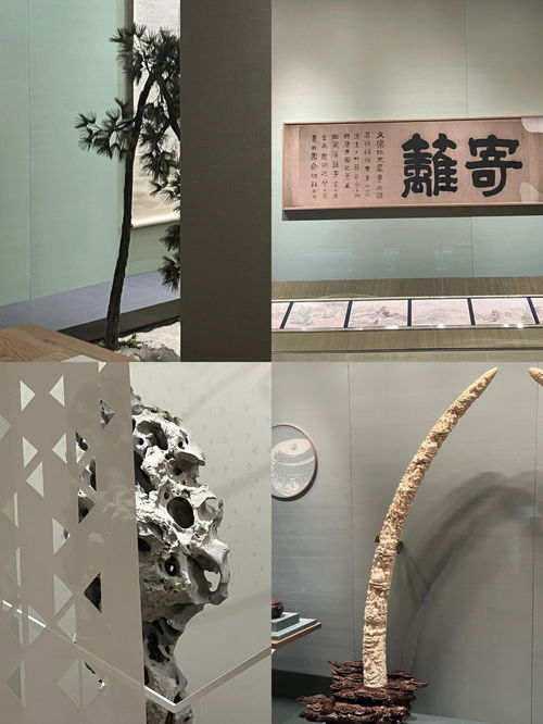 现代艺术作品展览展品分配情况